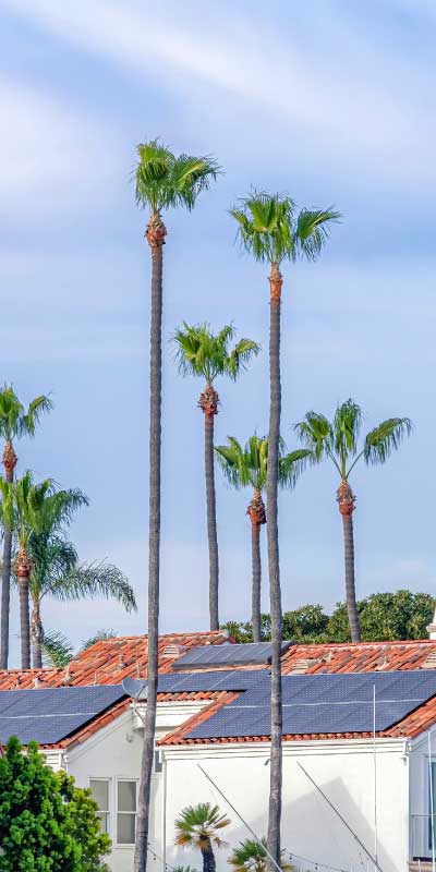 Solar panels on a Florida home in a residential community